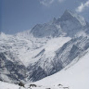 Meet your Posher, Jeonghoon